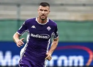 Schalke bereikt akkoord met Edin Dzeko