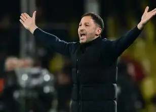 Fenerbahçe lijdt eerste nederlaag in Europa