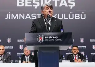 Serdal Adalı over Dikilitaş project