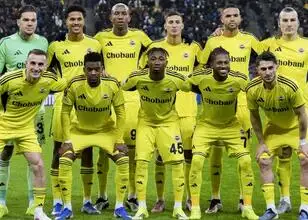 Fenerbahçe verdient 19,5 miljoen euro in Europa League