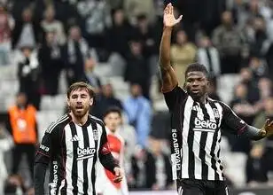 Schrijvers reageren op Beşiktaş