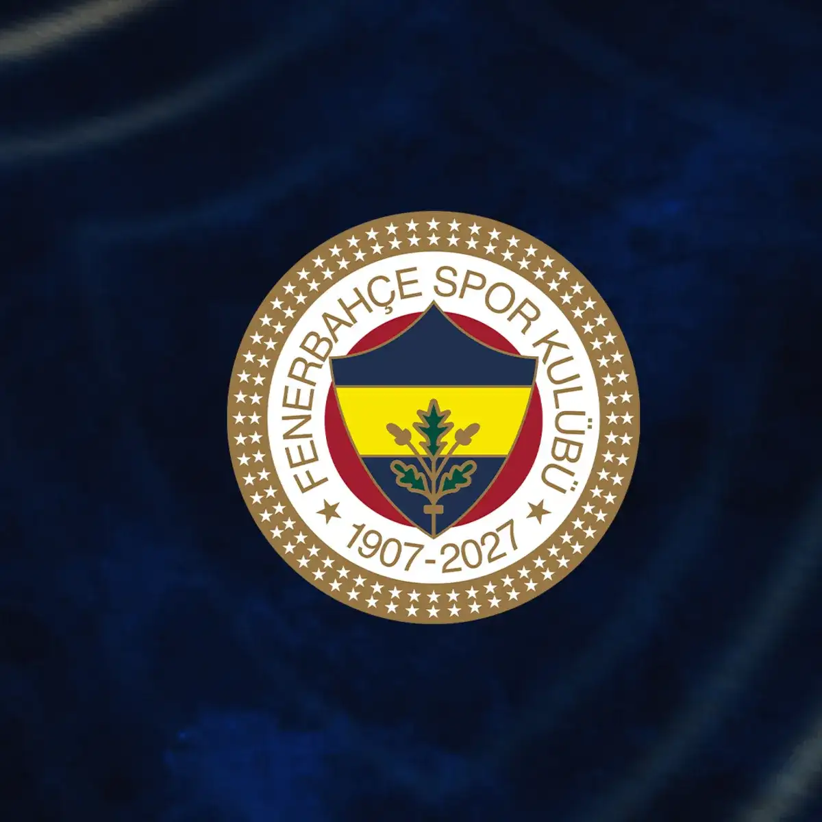 Fenerbahçe start jeugdoperatie en volgt 15-jarige Hoffenheim-talent Ensar Taha Koçak