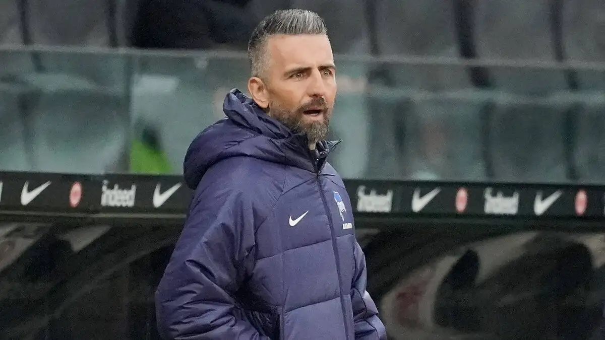 Vedad Ibisevic: Beşiktaş heeft mij dit seizoen verrast – Hoffenheim zoekt keerpunt